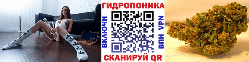 Канабис Кодинск