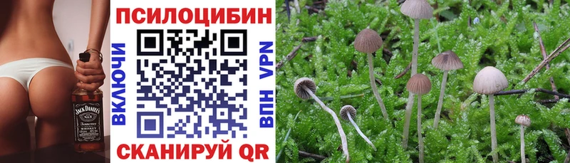 Псилоцибиновые грибы мицелий Кодинск